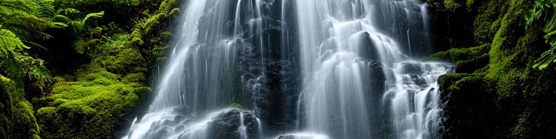 Columbia River Gorge National Scenic Area Cover