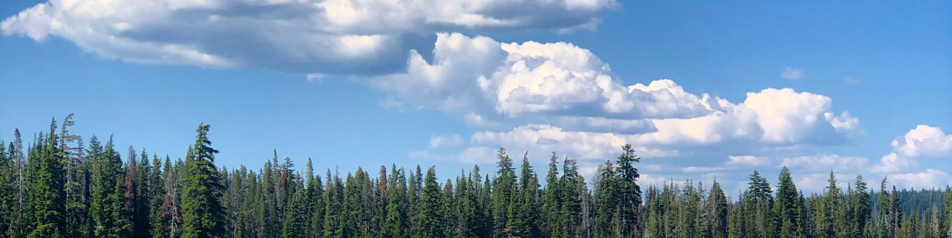 Rogue River-Siskiyou National Forests Cover