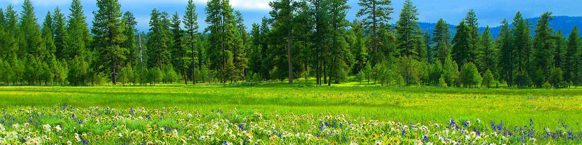 Ochoco National Forest & Crooked River National Grassland Cover
