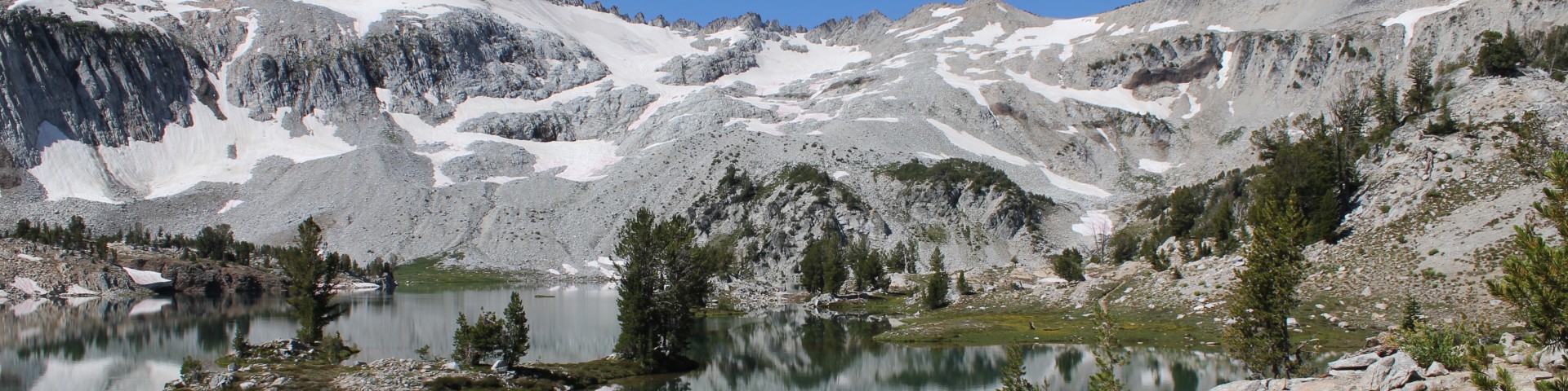 Wallowa-Whitman National Forest Cover