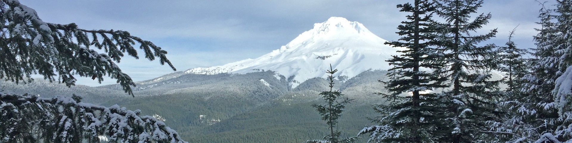 Mt. Hood National Forest Cover