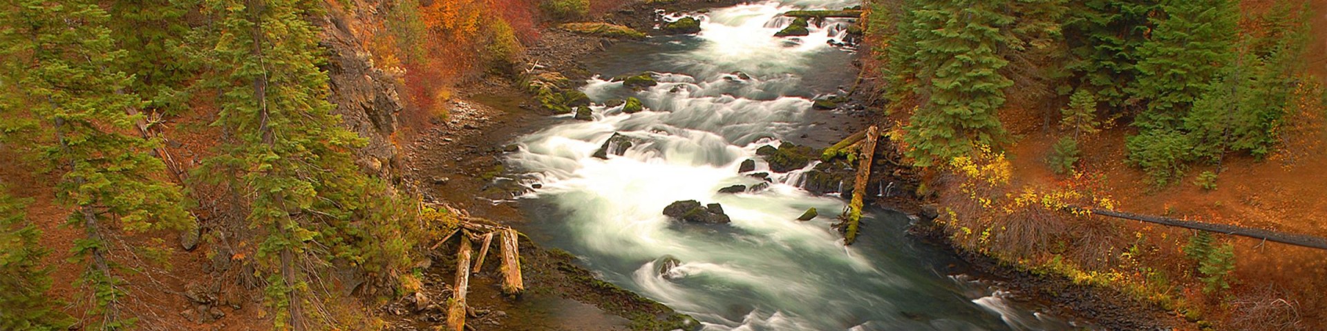Deschutes National Forest Cover