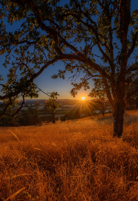 Baskett Slough National Wildlife Refuge Cover