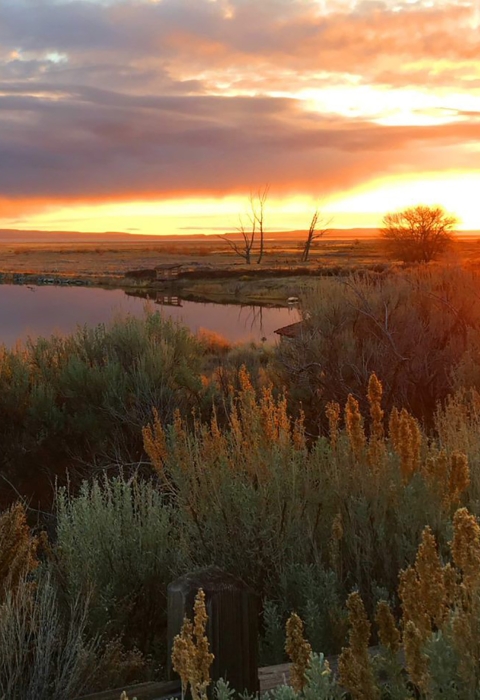 Malheur National Wildlife Refuge Cover