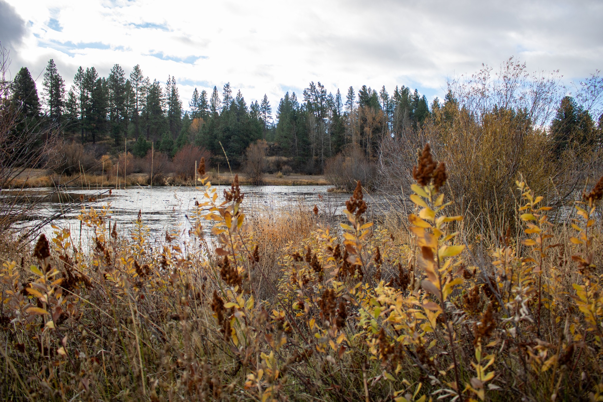 Klamath County Public Health Cover